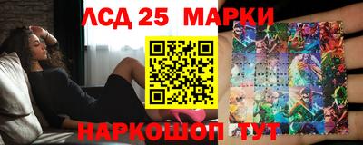 молекула духа Донской