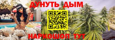 шишки Дубна