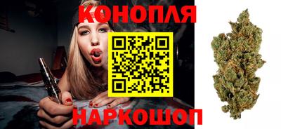 шишки Дубна