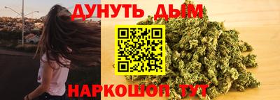 шишки Дубна
